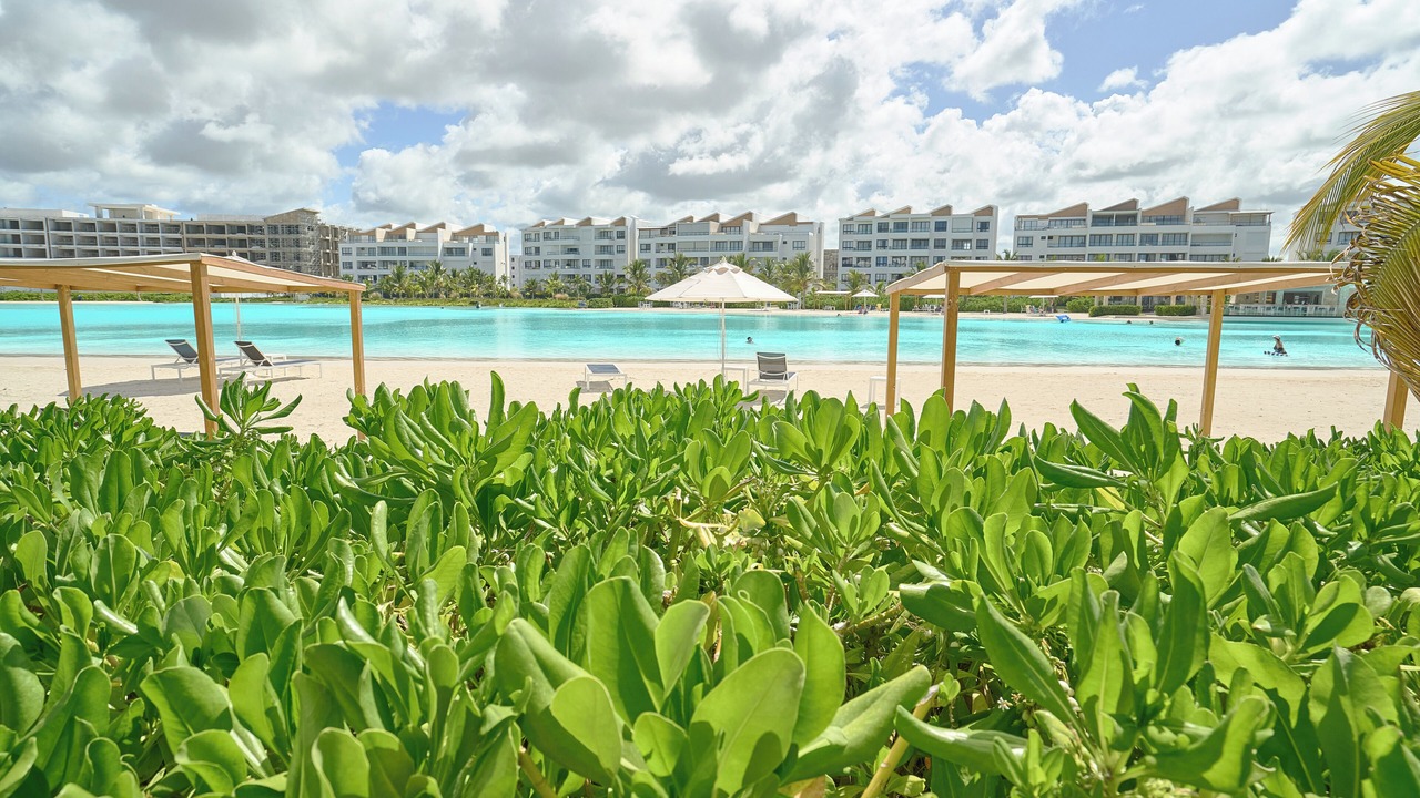 Photo of Others in Punta Cana