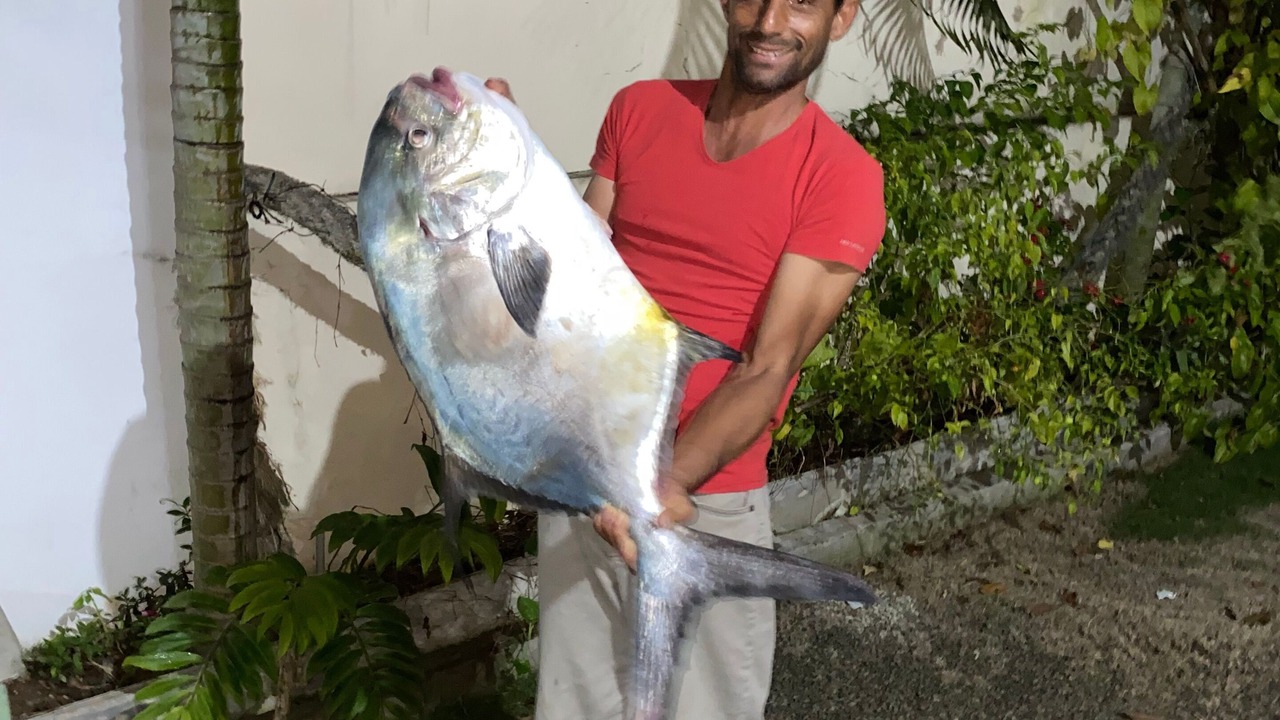 Photo of Others in Higuey