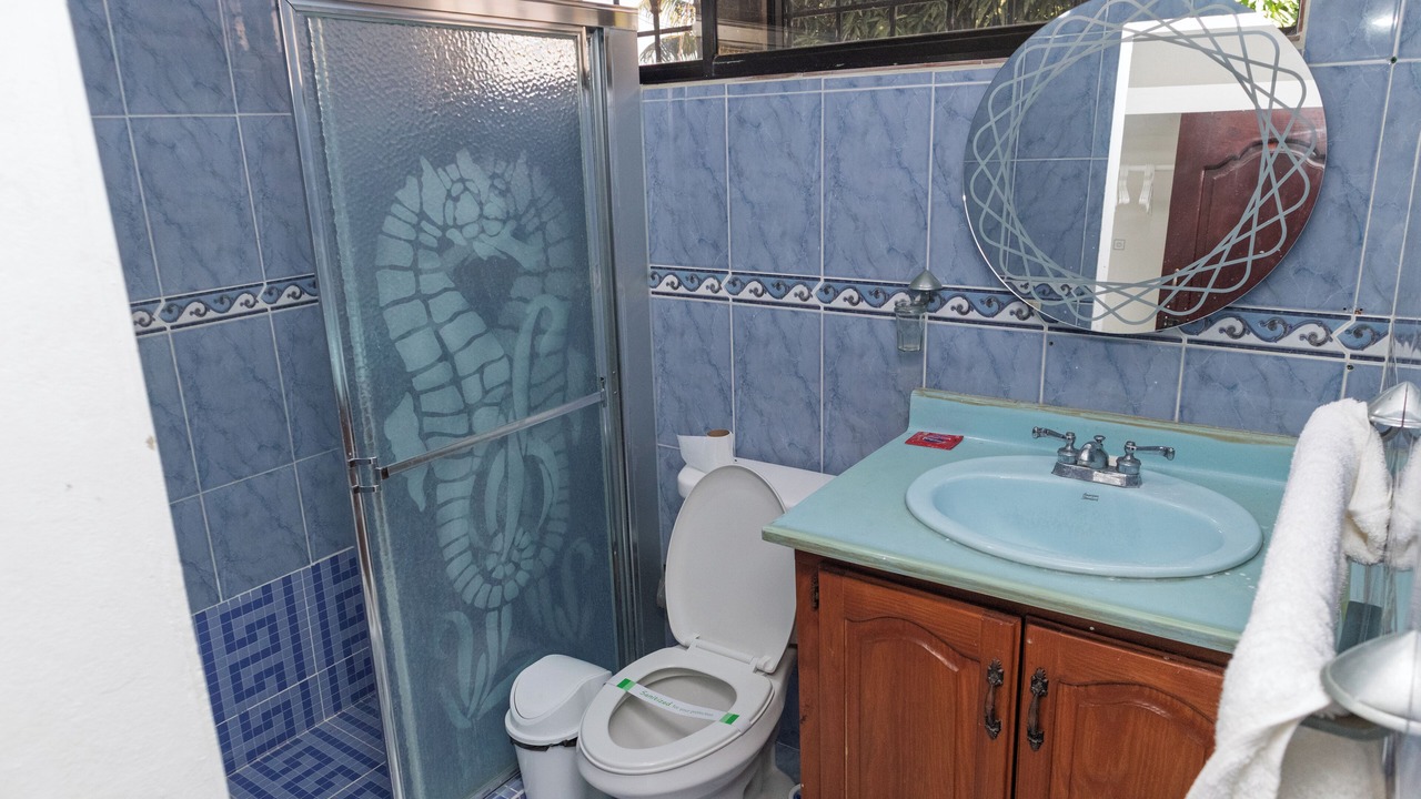 Photo of Bathroom in La Vega