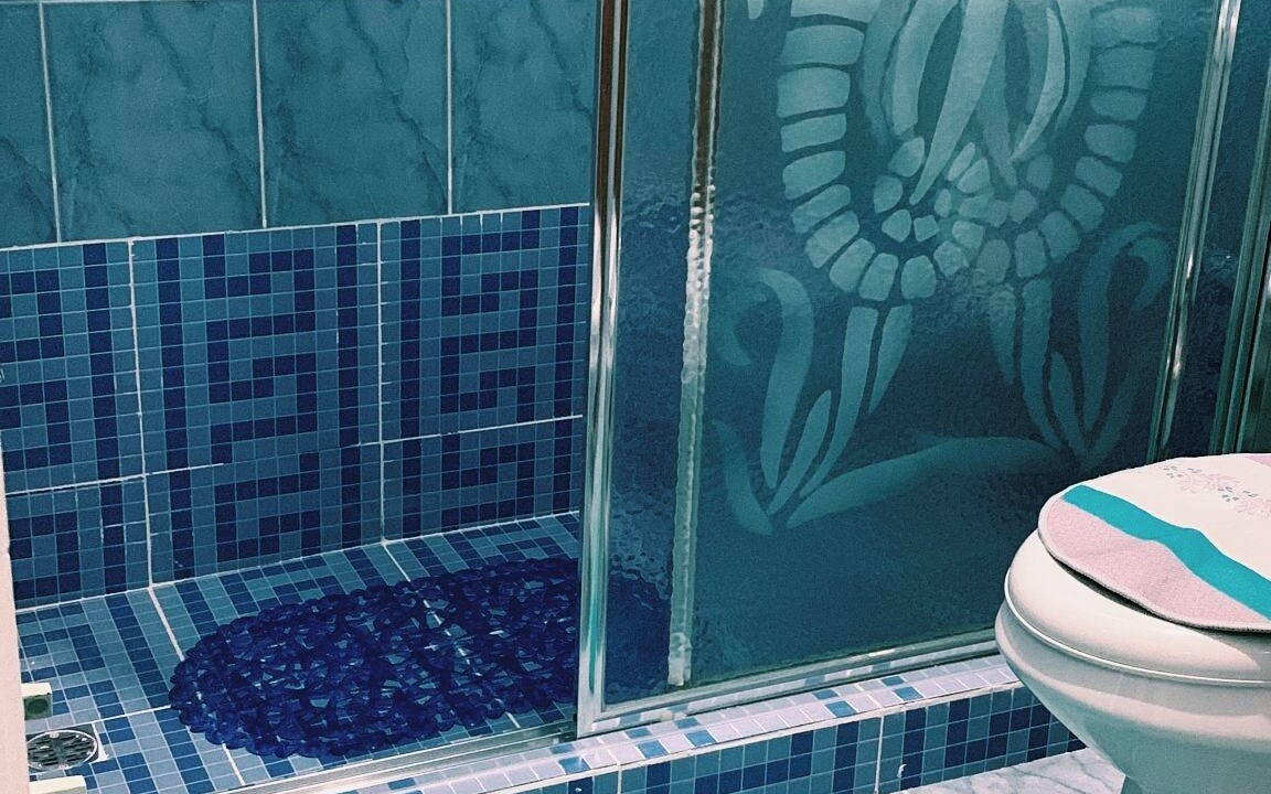Photo of Bathroom in La Vega