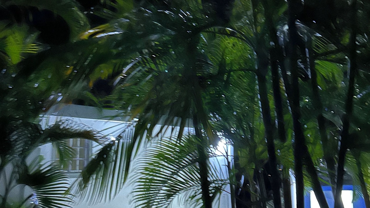 Photo of Outdoor in Puerto Plata