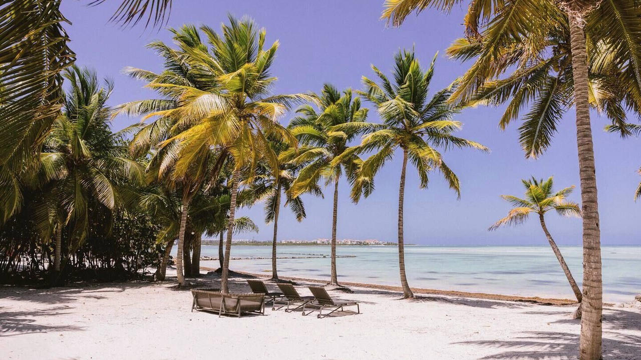 Photo of Others in Punta Cana