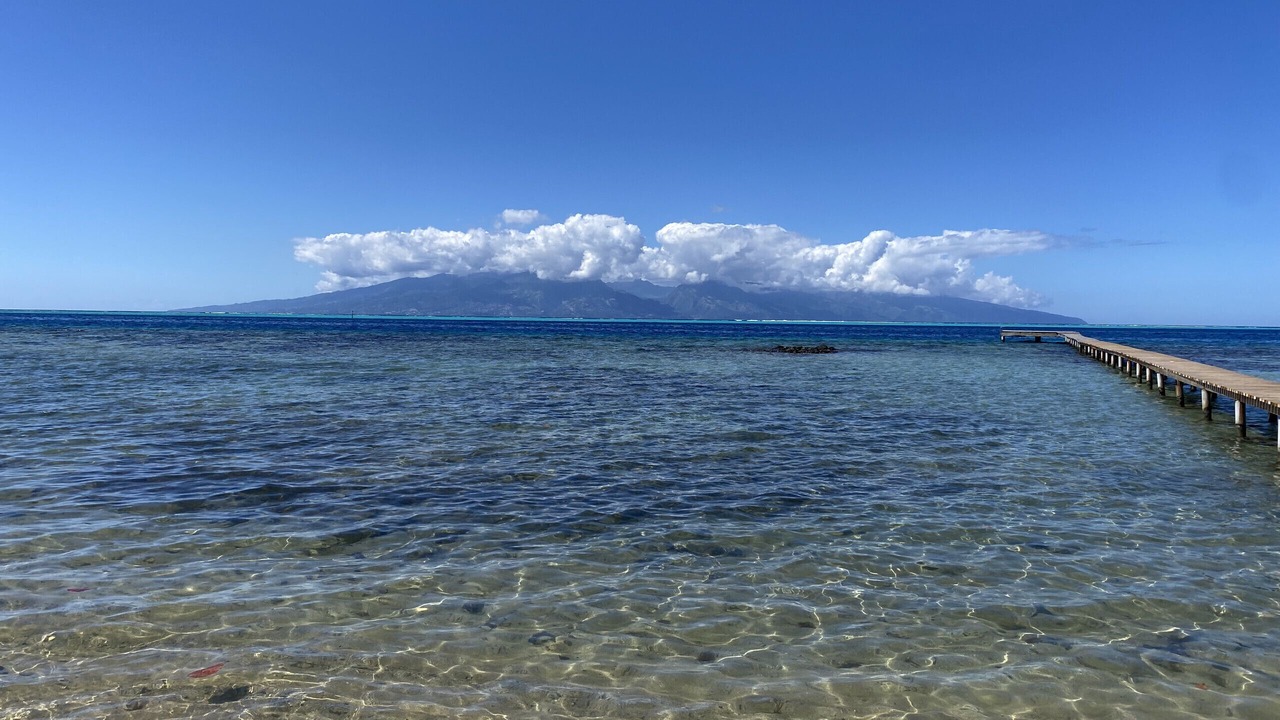 Photo of Others in Moorea-Maiao