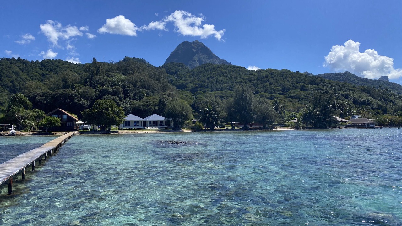 Photo of Others in Moorea-Maiao