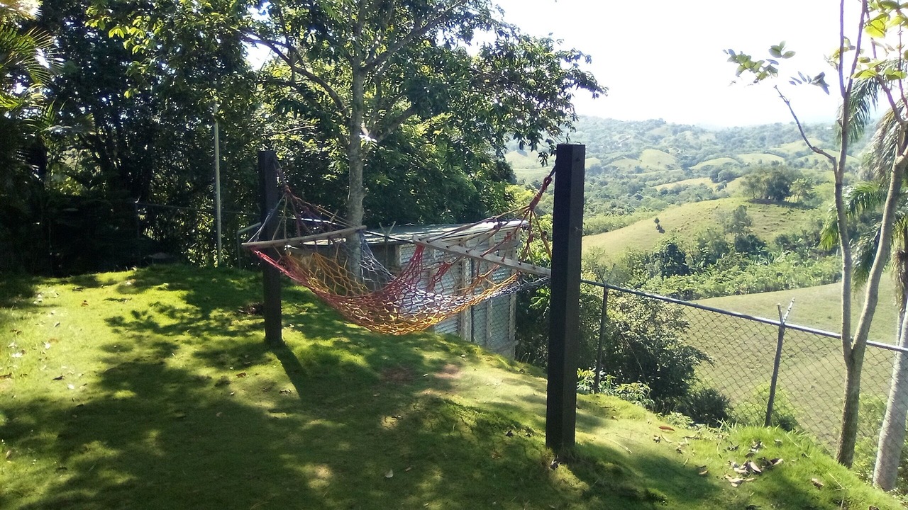 Photo of Outdoor in La Vega