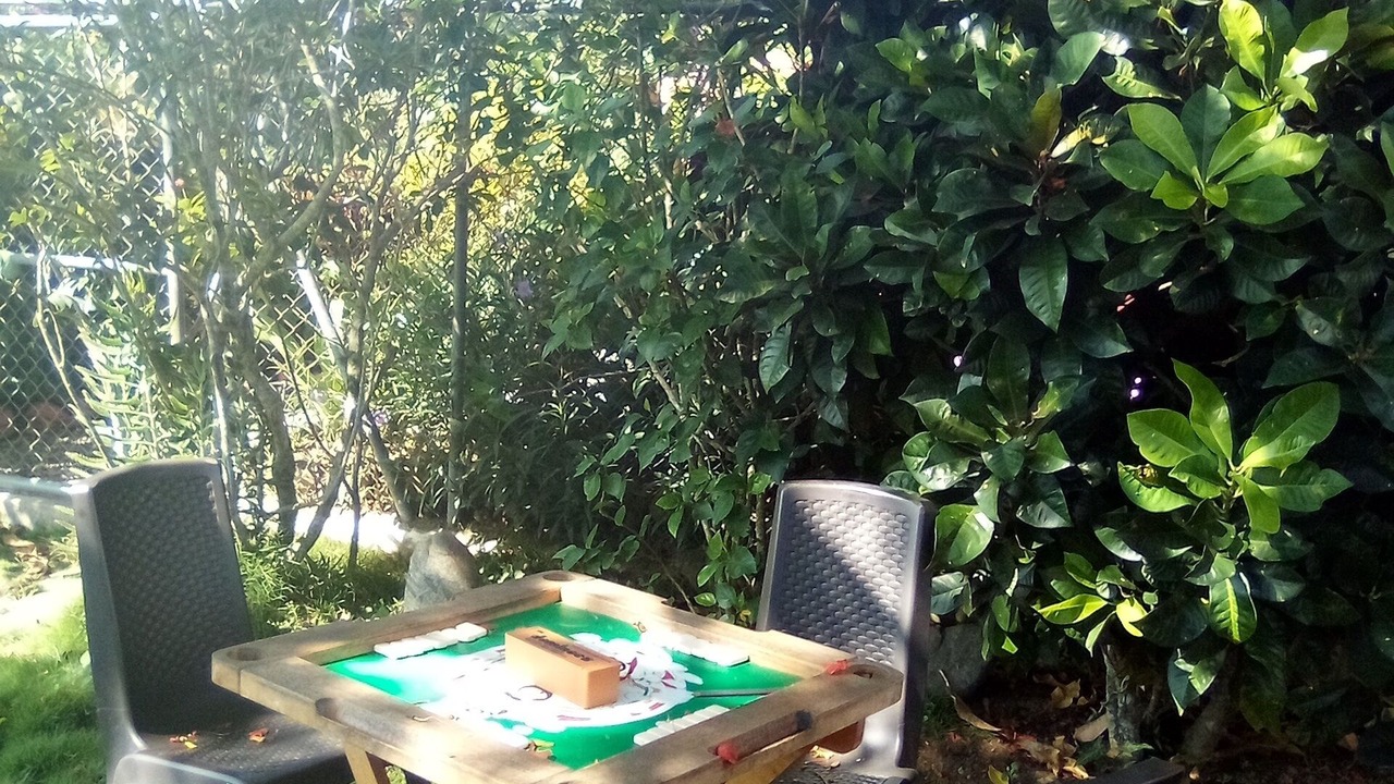 Photo of Outdoor in La Vega
