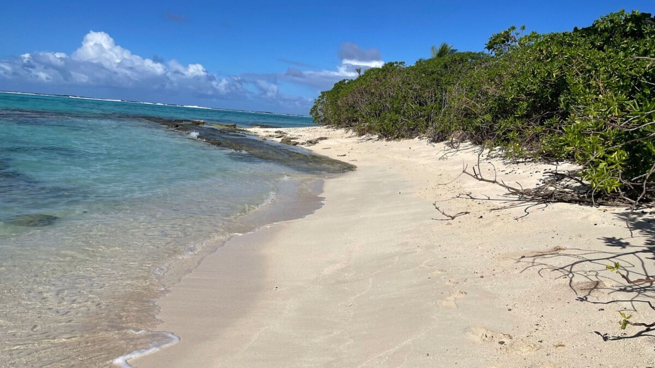 Photo of Others in Huahine