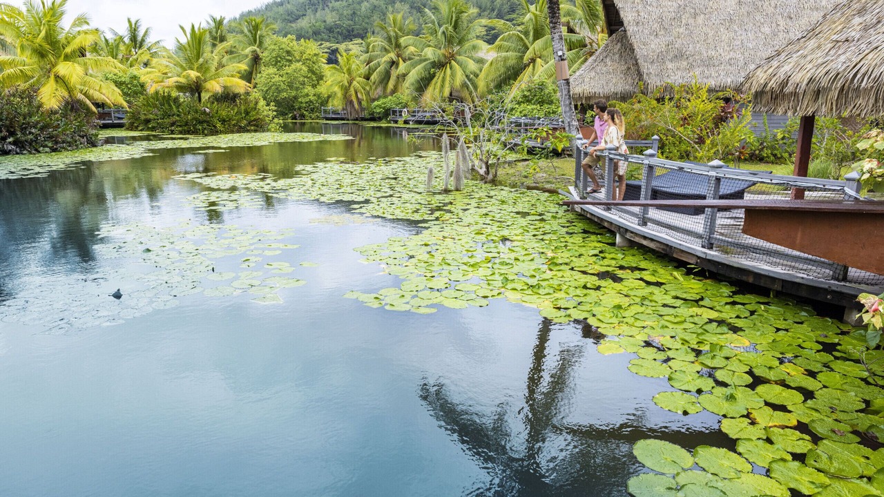 Photo of Others in Huahine