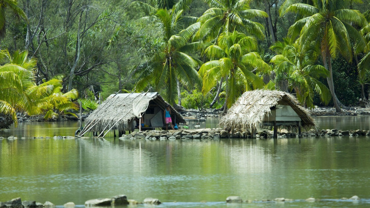 Photo of Others in Huahine
