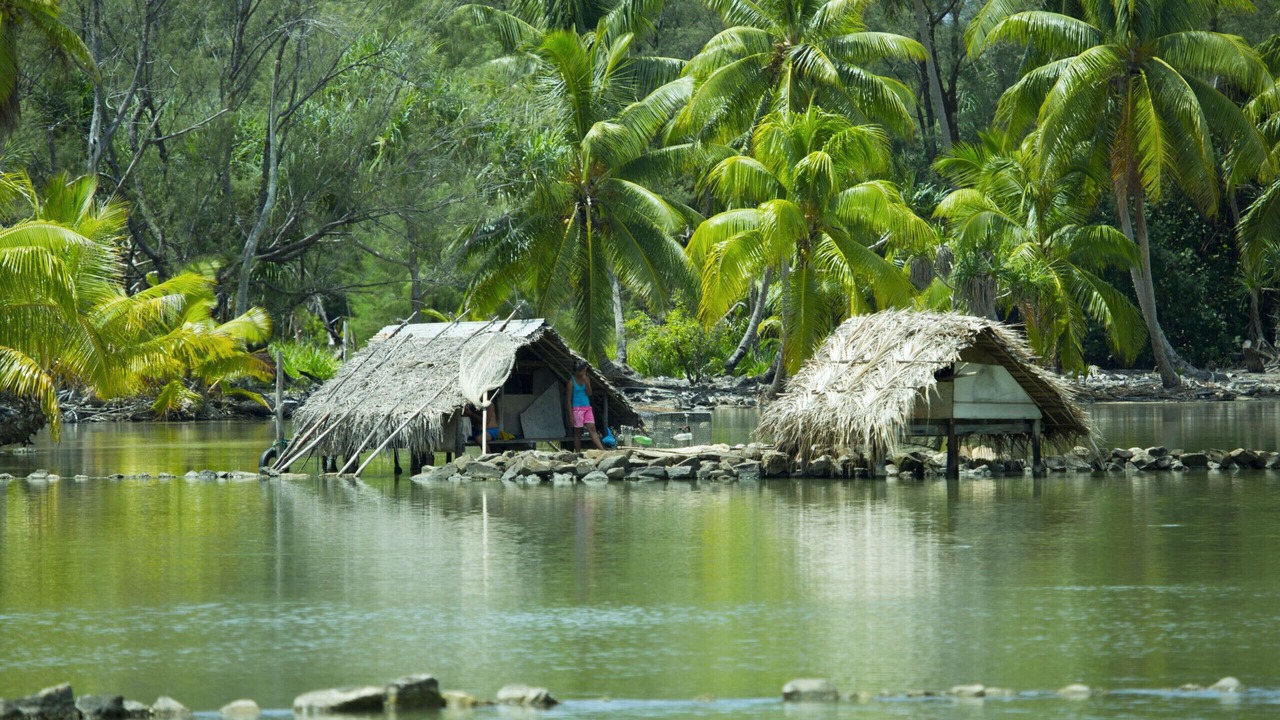 Photo of Others in Huahine