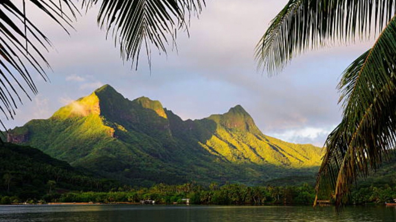 Photo of Others in Teahupoo