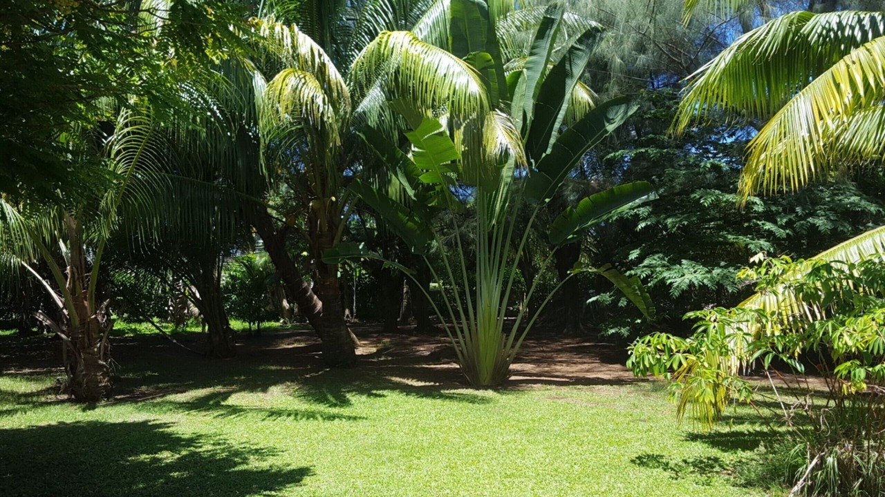 Photo of Outdoor in Teahupoo