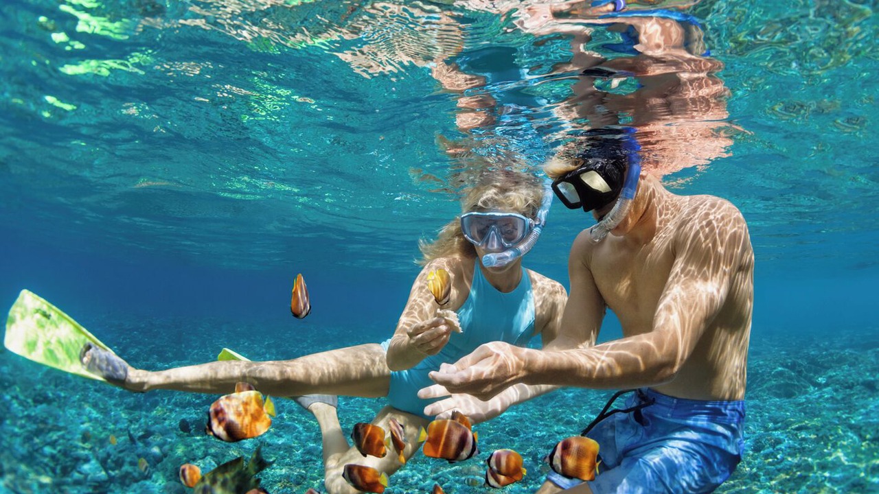 Photo of Others in Eden Island