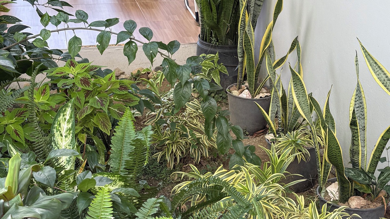 Photo of Patio Balcony in Sigatoka