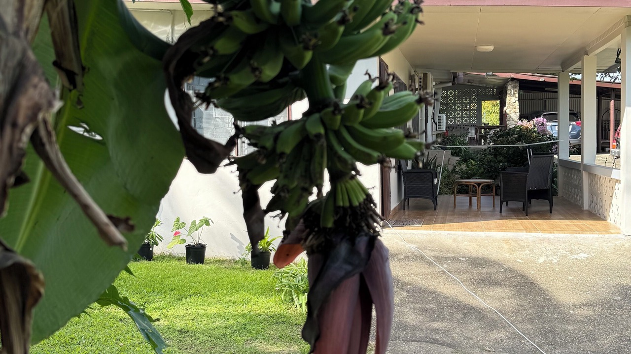 Photo of Outdoor in Sigatoka