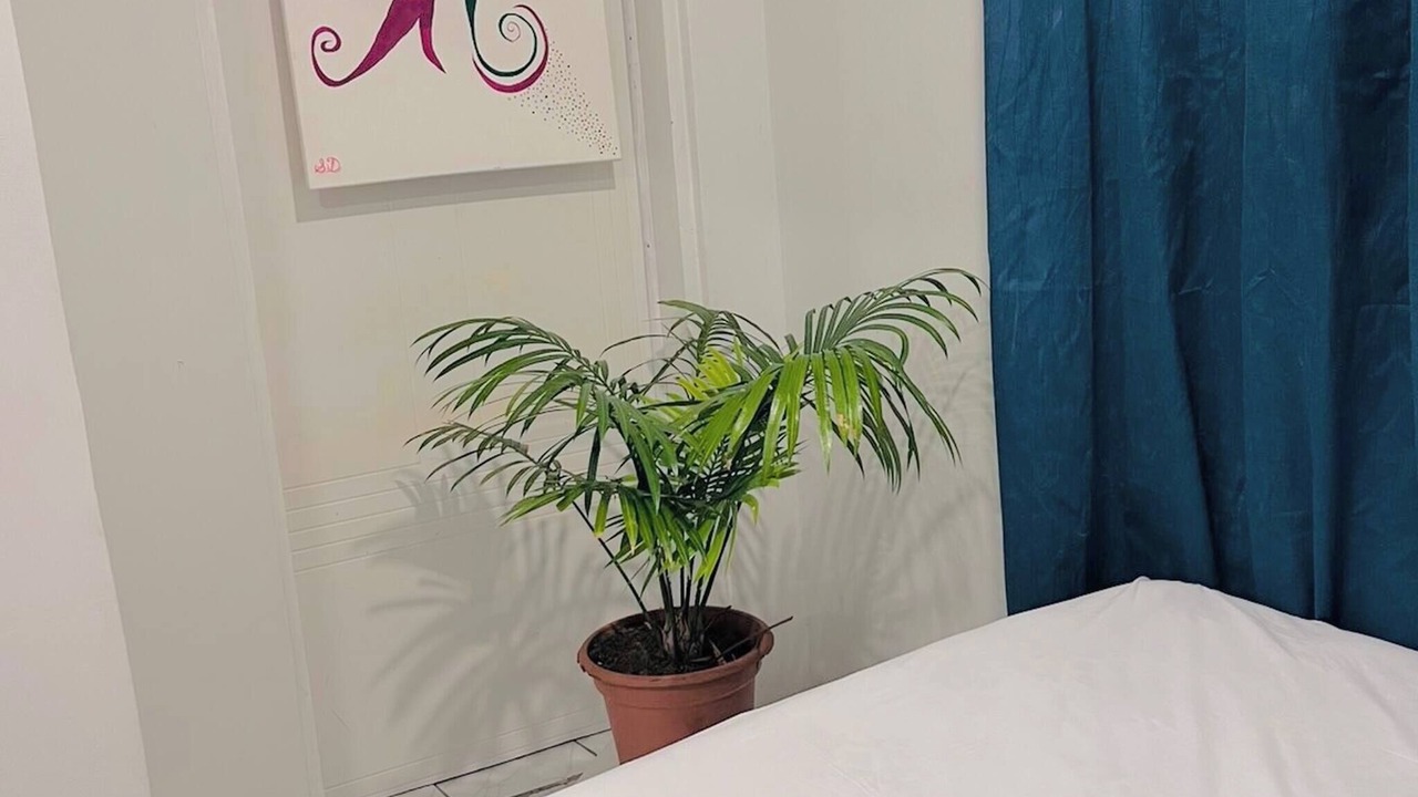 Photo of Bedroom in Lautoka