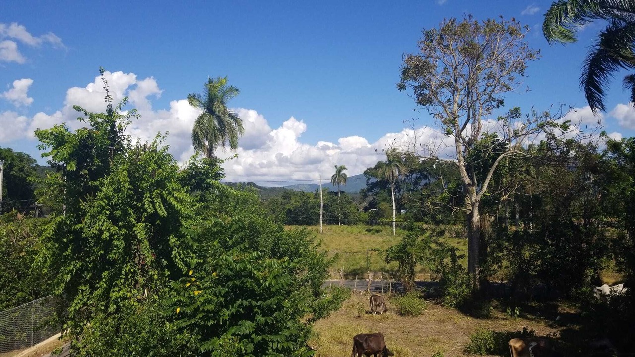 Photo of Others in Jarabacoa