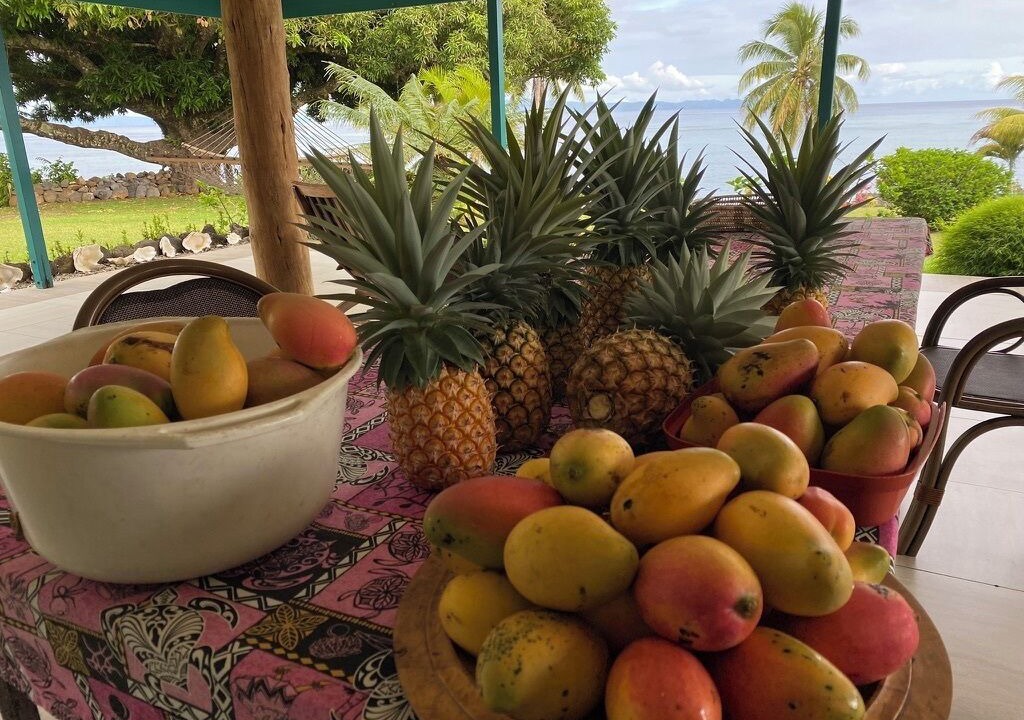 Photo of Outdoor in Taveuni Island East