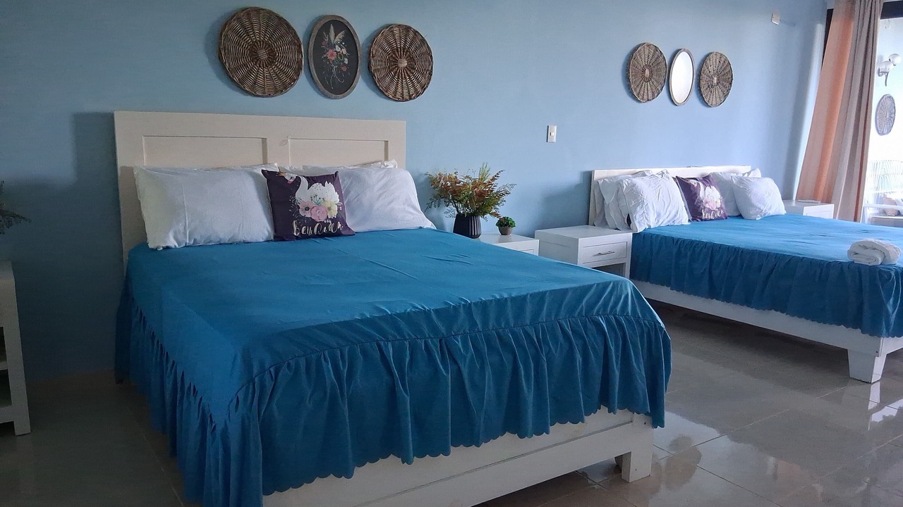 Photo of Bedroom in Luperon