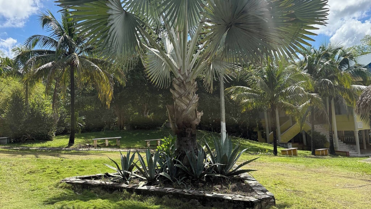 Photo of Outdoor in Pedro Brand
