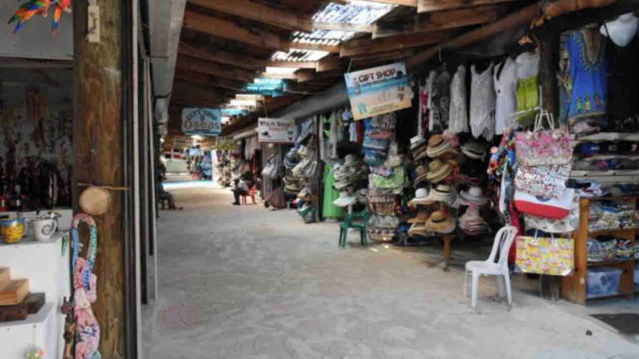 Photo of Others in Playa Bibijagua