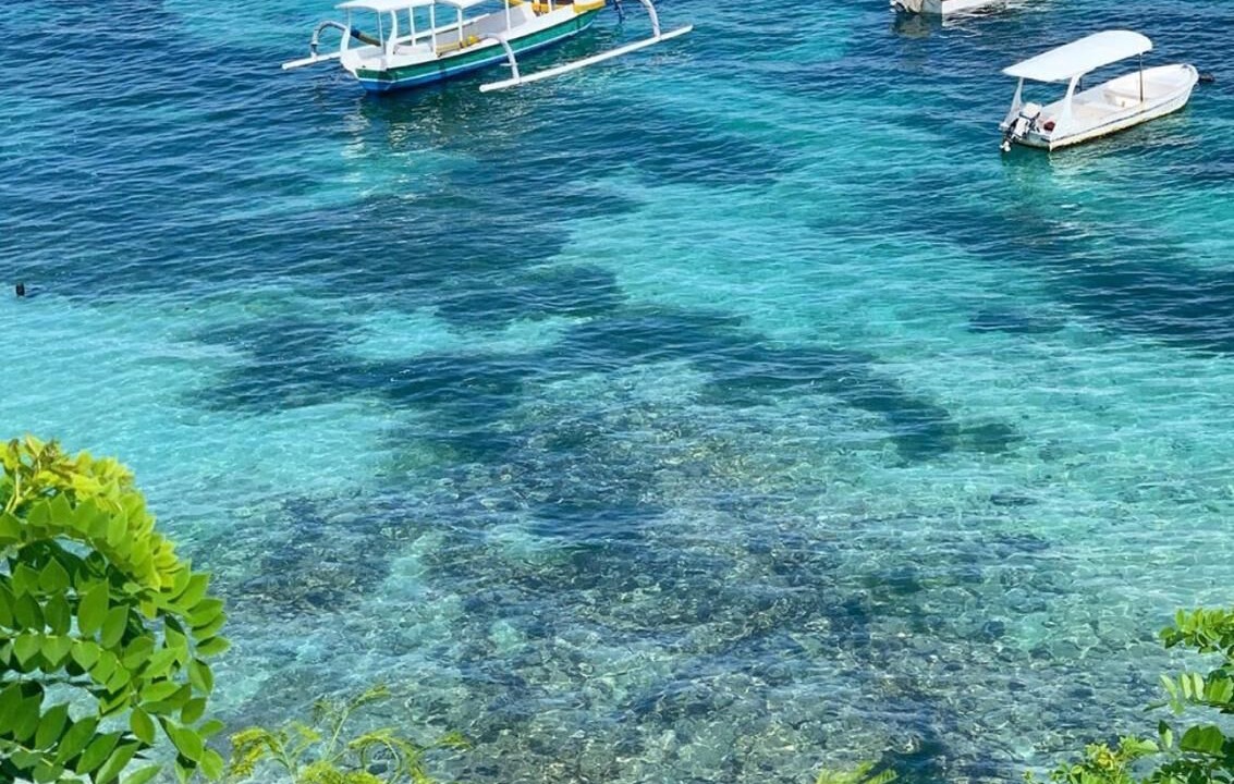 Photo of Others in Mushroom Bay