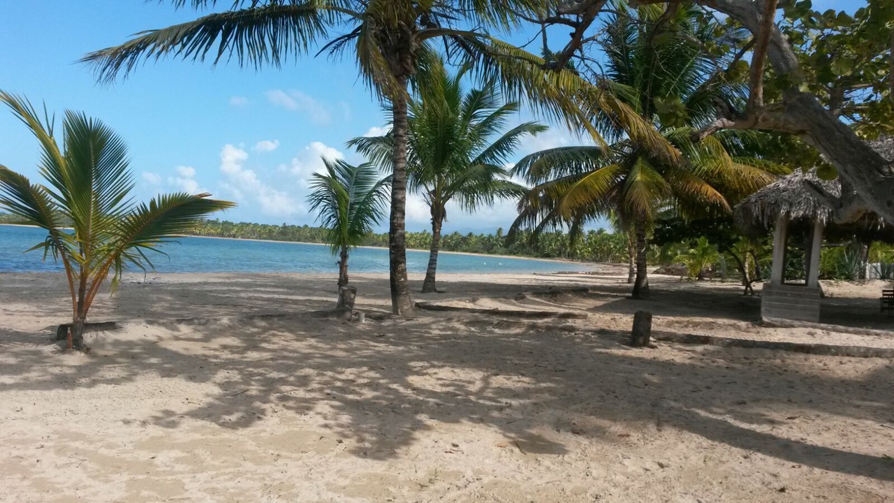 Photo of Others in El Limon