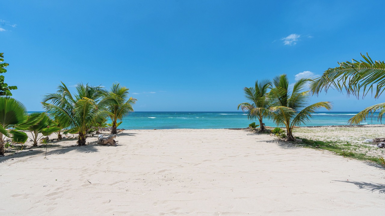 Photo of Others in Guayacanes