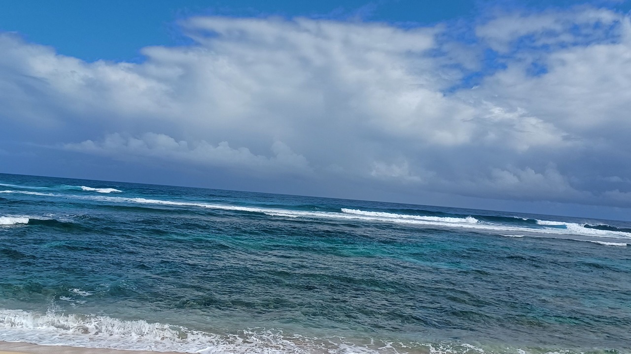 Photo of Others in Nagua