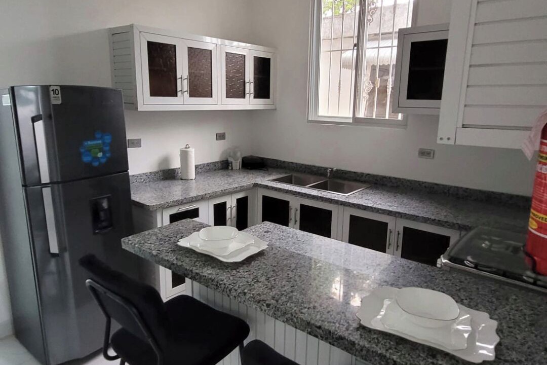 Photo of Kitchen in Gascue