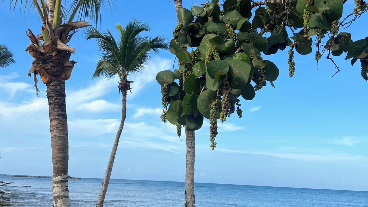 Photo of Others in San Pedro de Macoris