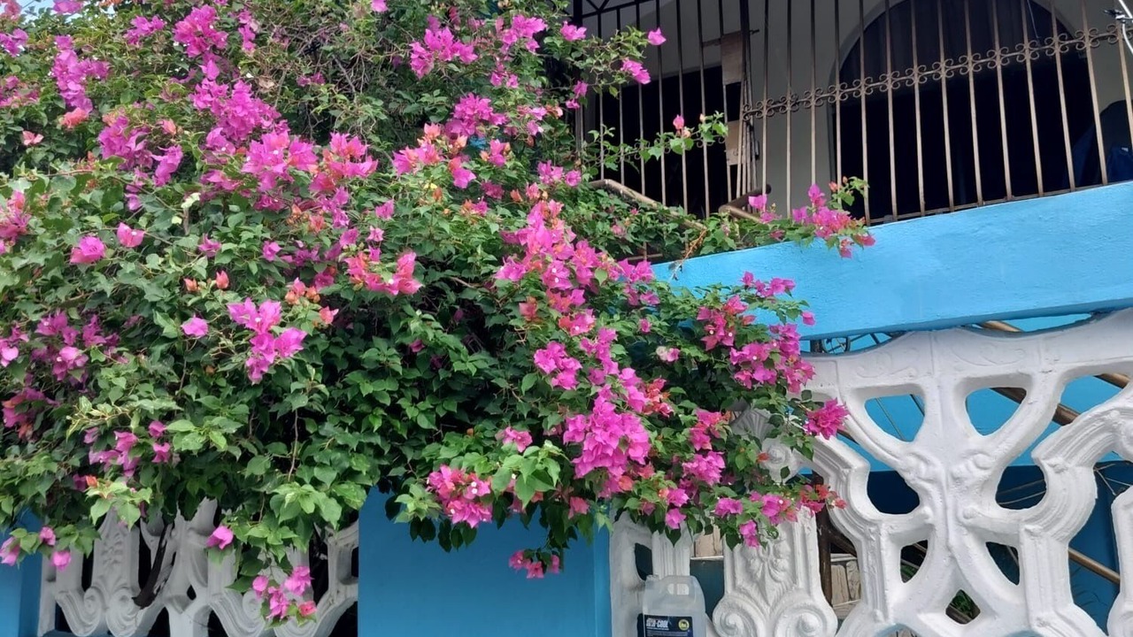 Photo of Outdoor in Barrio La Isabelita
