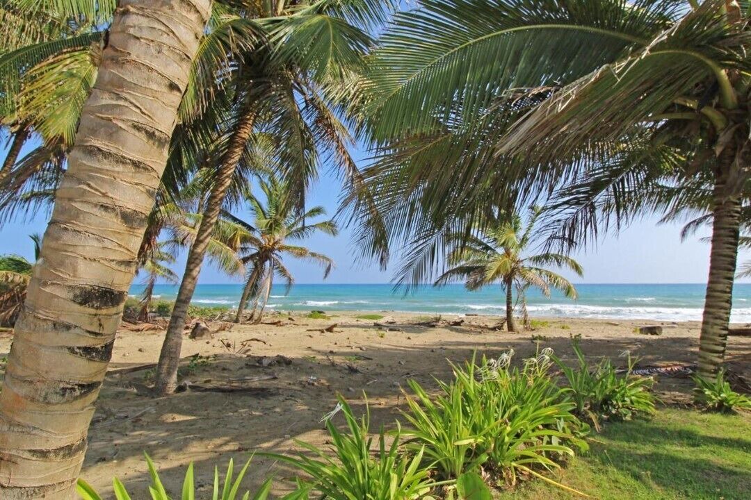 Photo of Others in Cabarete