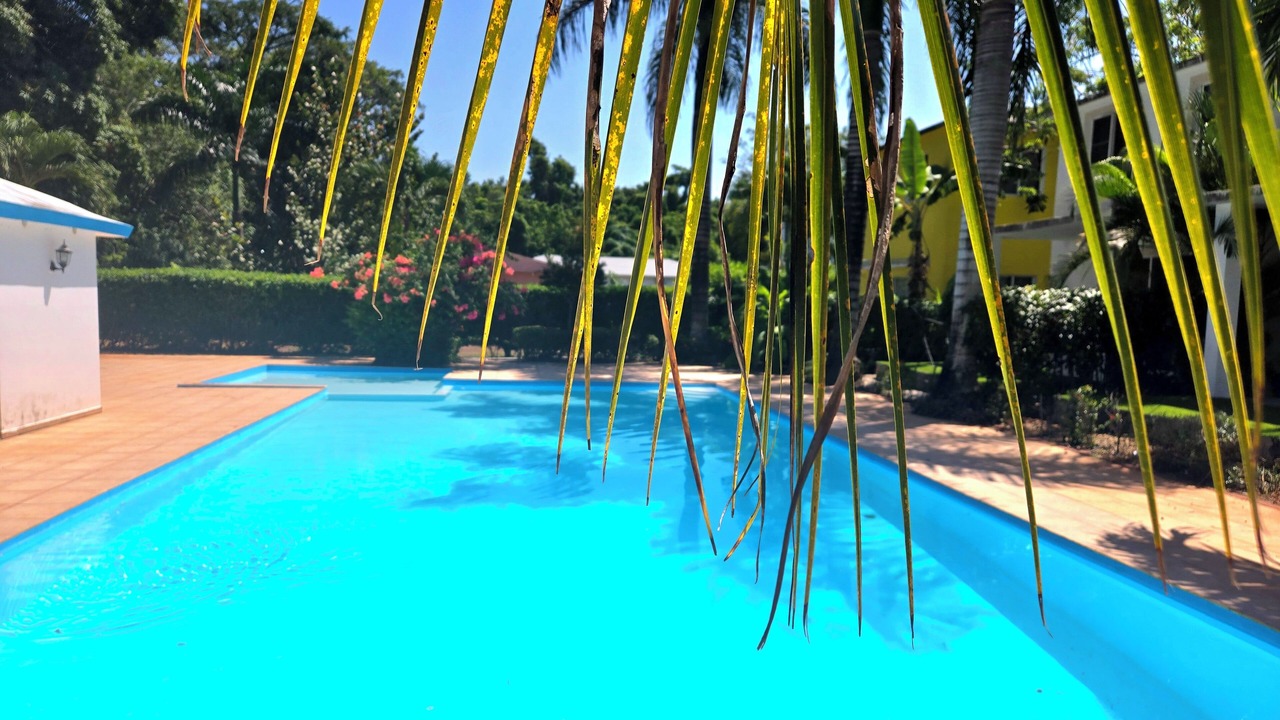Photo of Outdoor in Rio San Juan