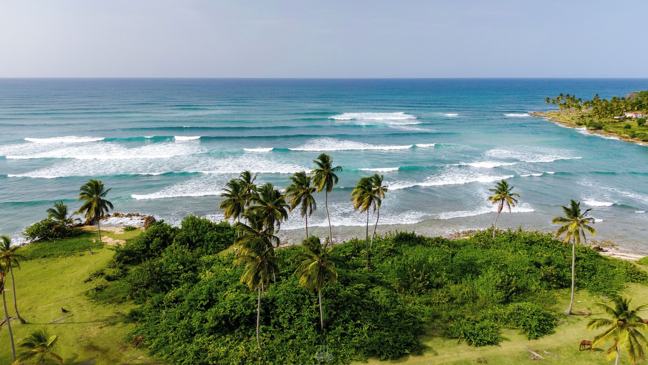 Photo of Others in Las Galeras