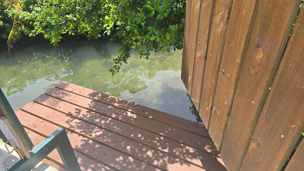 Photo of Outdoor in Maharepa