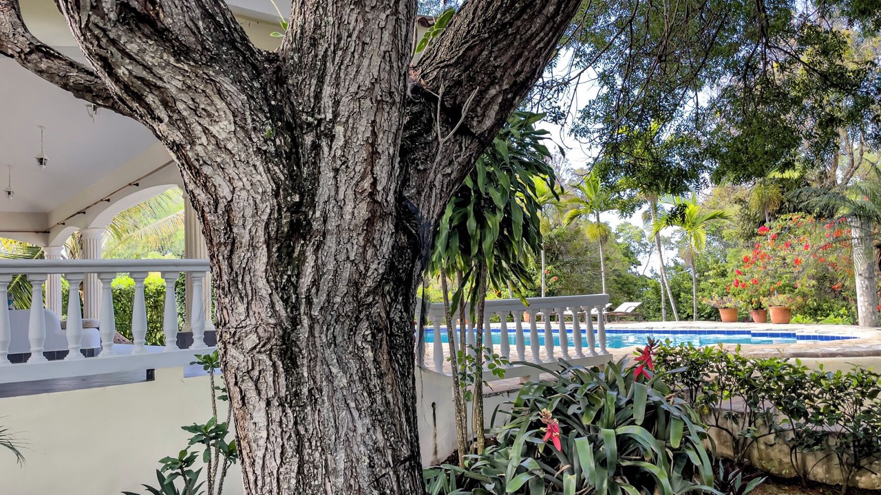 Photo of Patio Balcony in Sosua