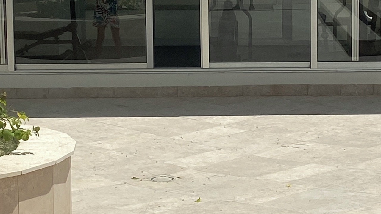 Photo of Outdoor in Caribbean Islands