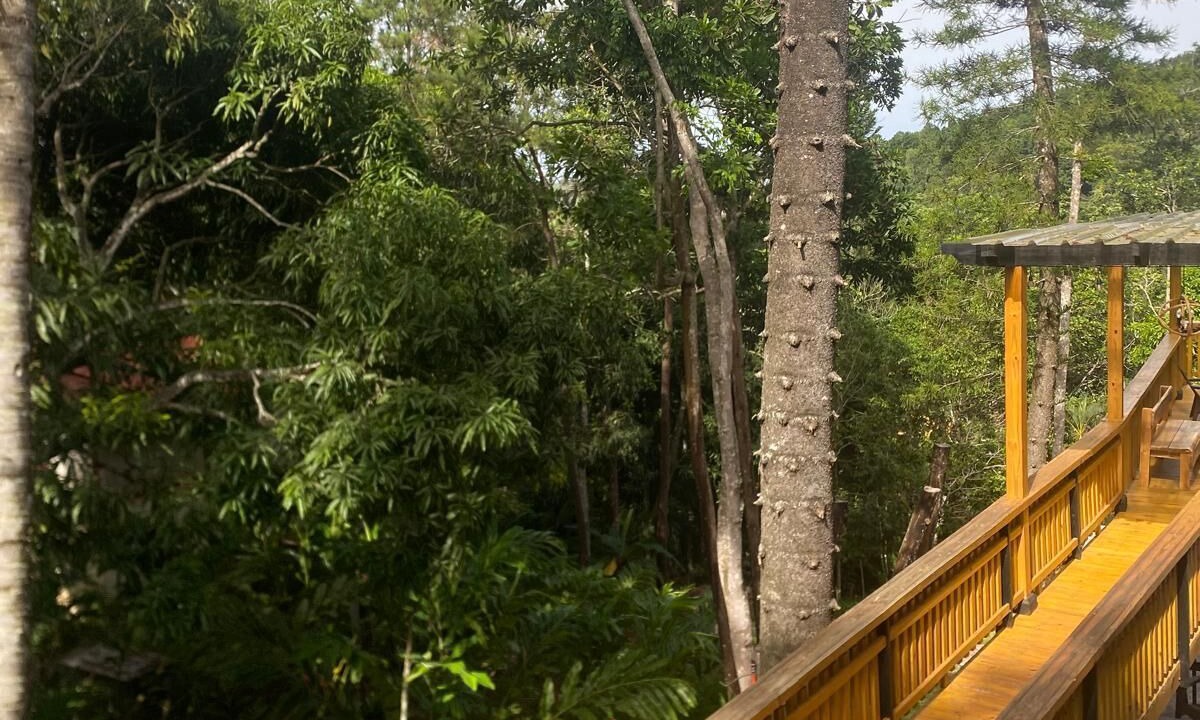 Photo of Outdoor in Constanza