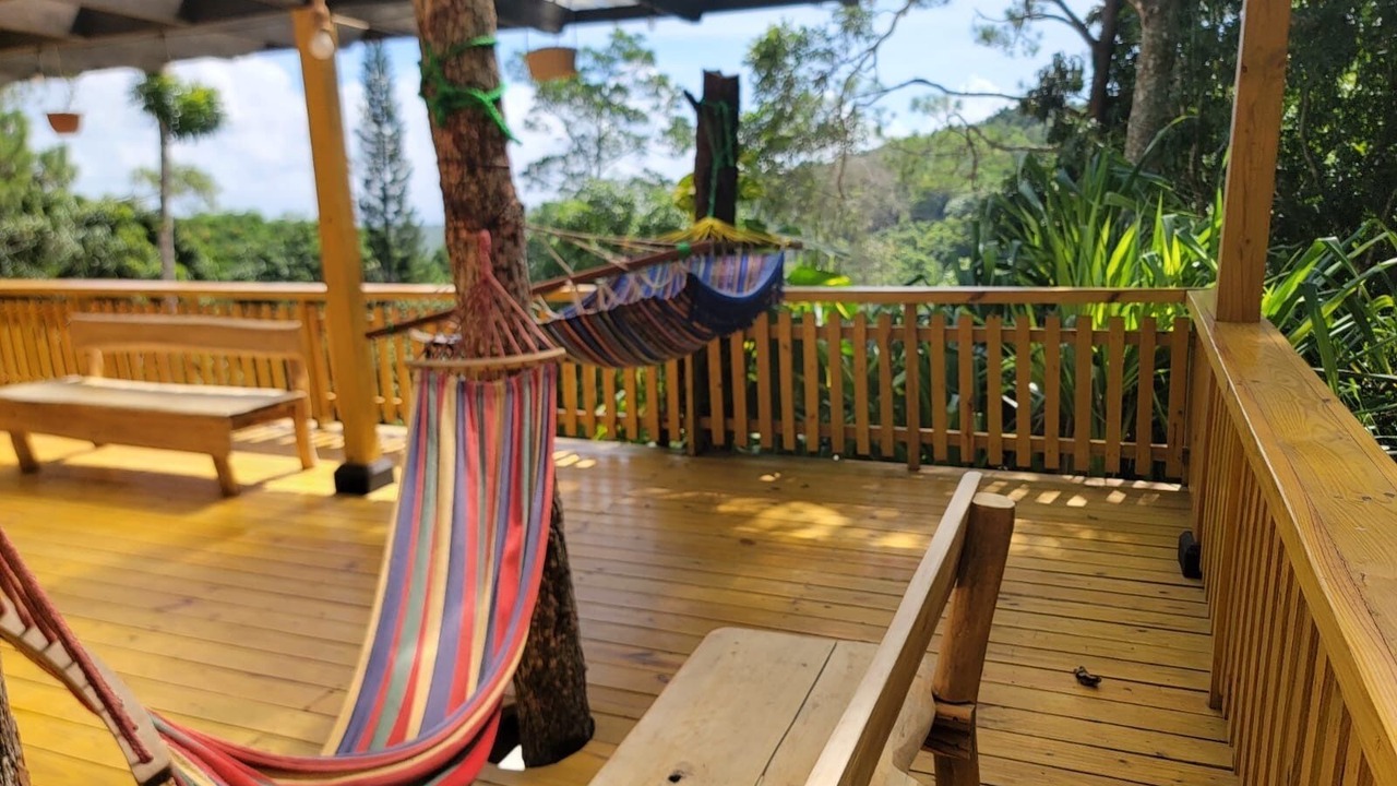 Photo of Patio Balcony in Constanza