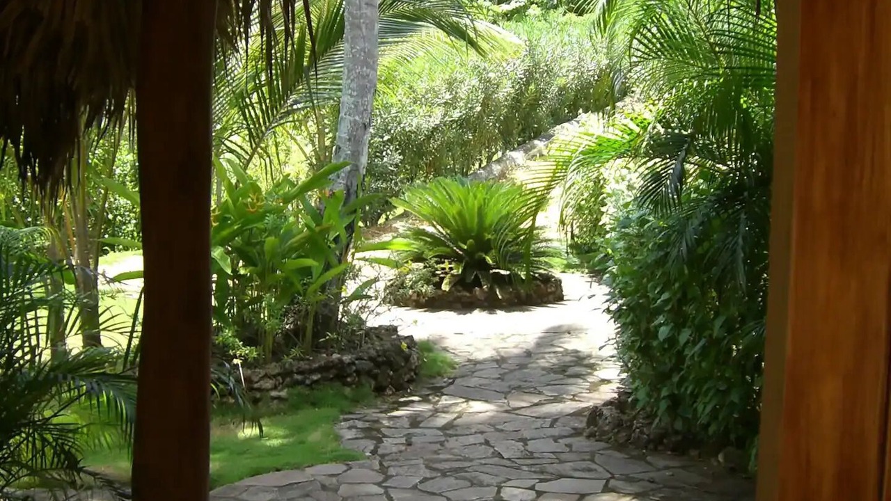 Photo of Outdoor in Las Terrenas