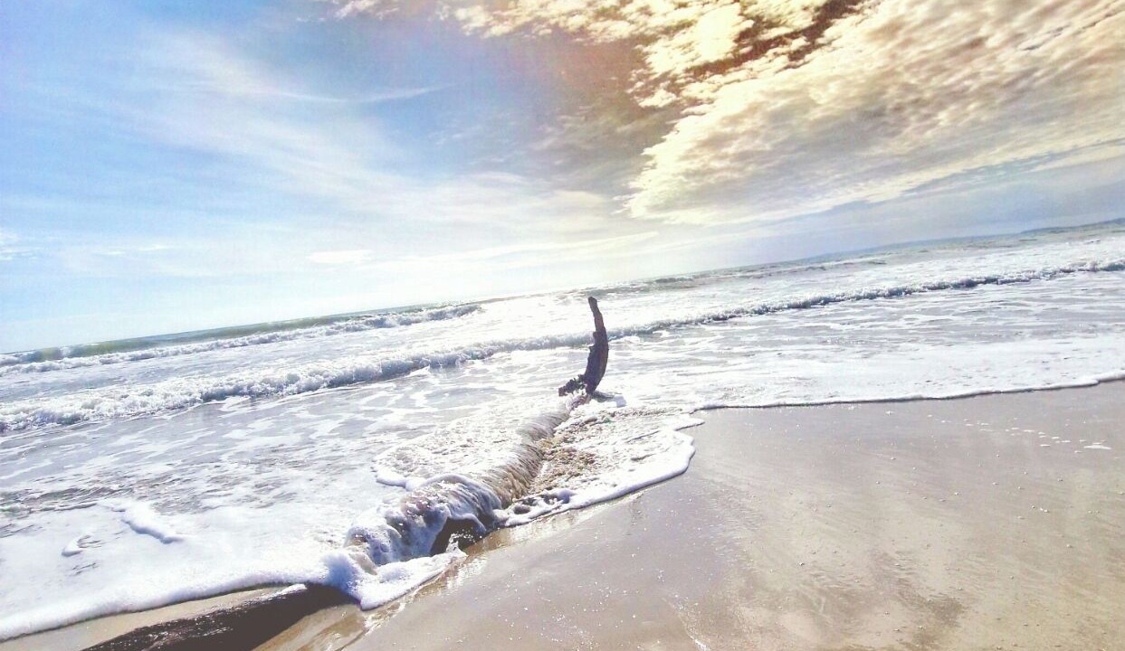 Photo of Others in Cabarete
