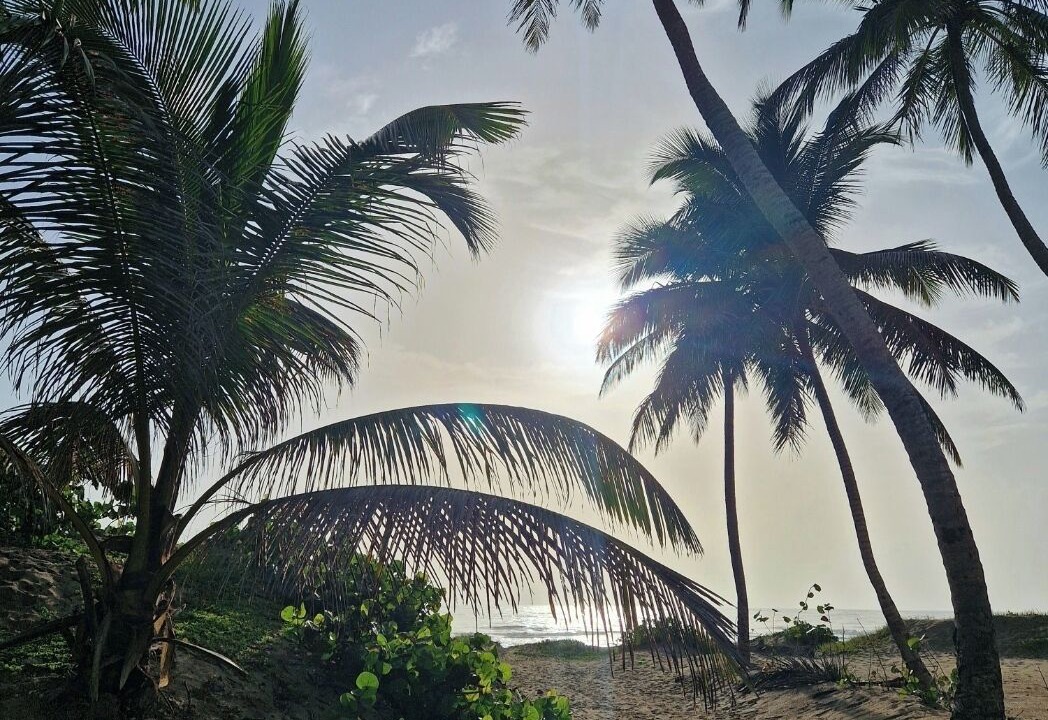 Photo of Others in Cabarete