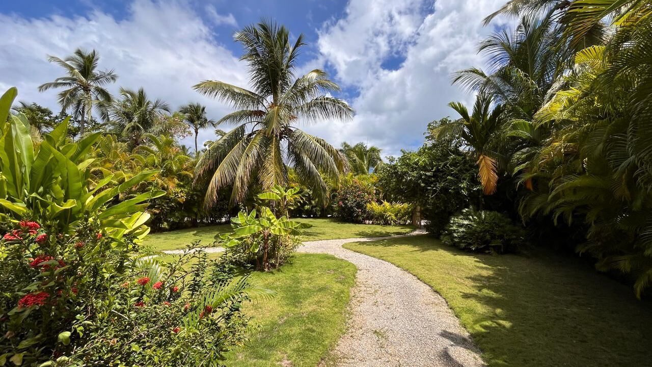 Photo of Outdoor in Las Terrenas