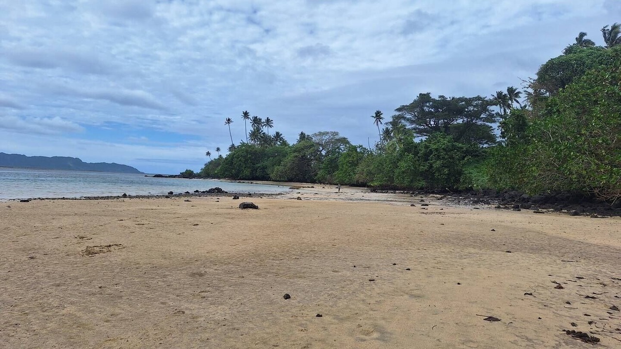 Photo of Others in Taveuni Island East