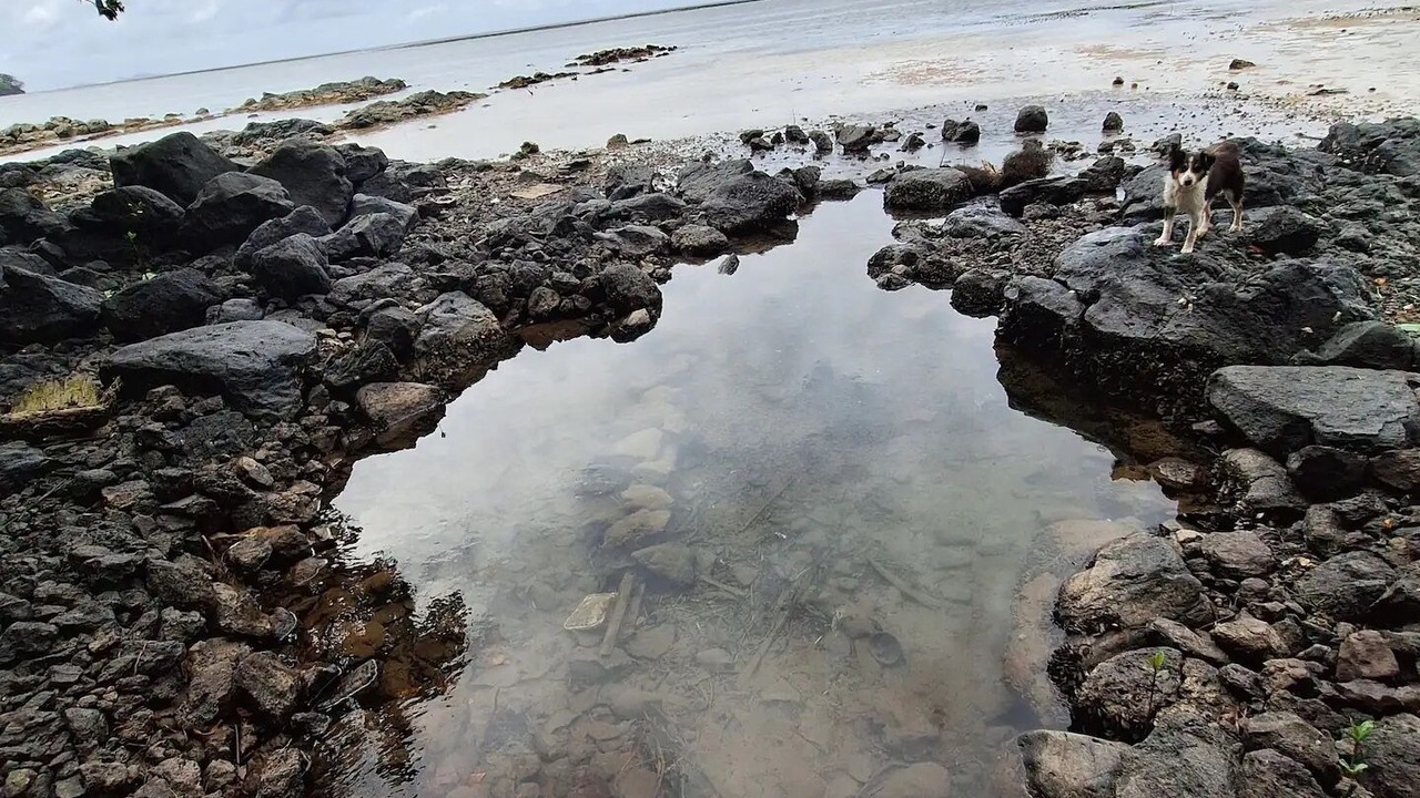 Photo of Others in Taveuni Island East
