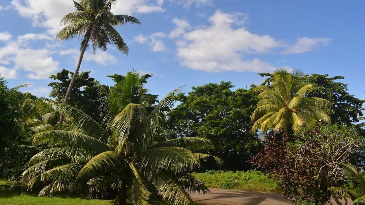 Photo of Others in Taveuni Island East