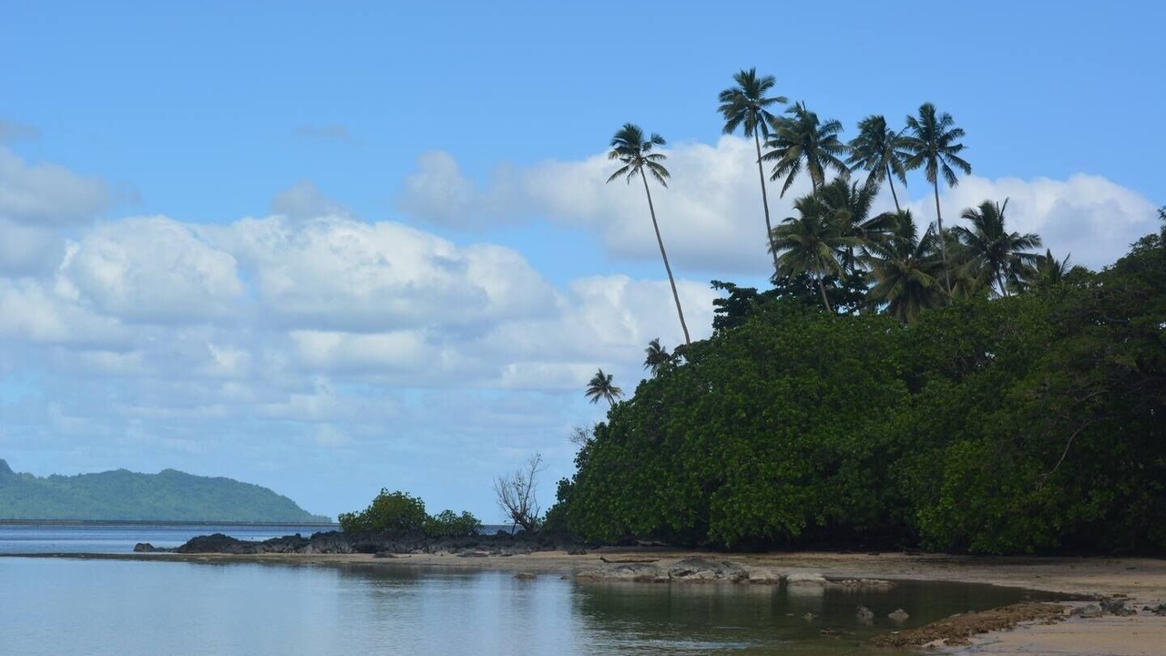 Photo of Others in Taveuni Island East