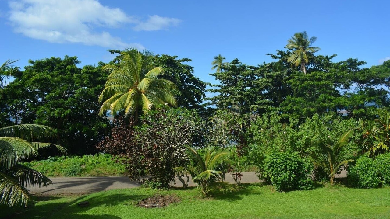 Photo of Others in Taveuni Island East