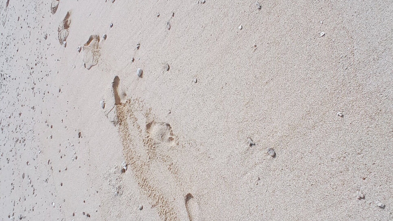Photo of Others in Wailoloa